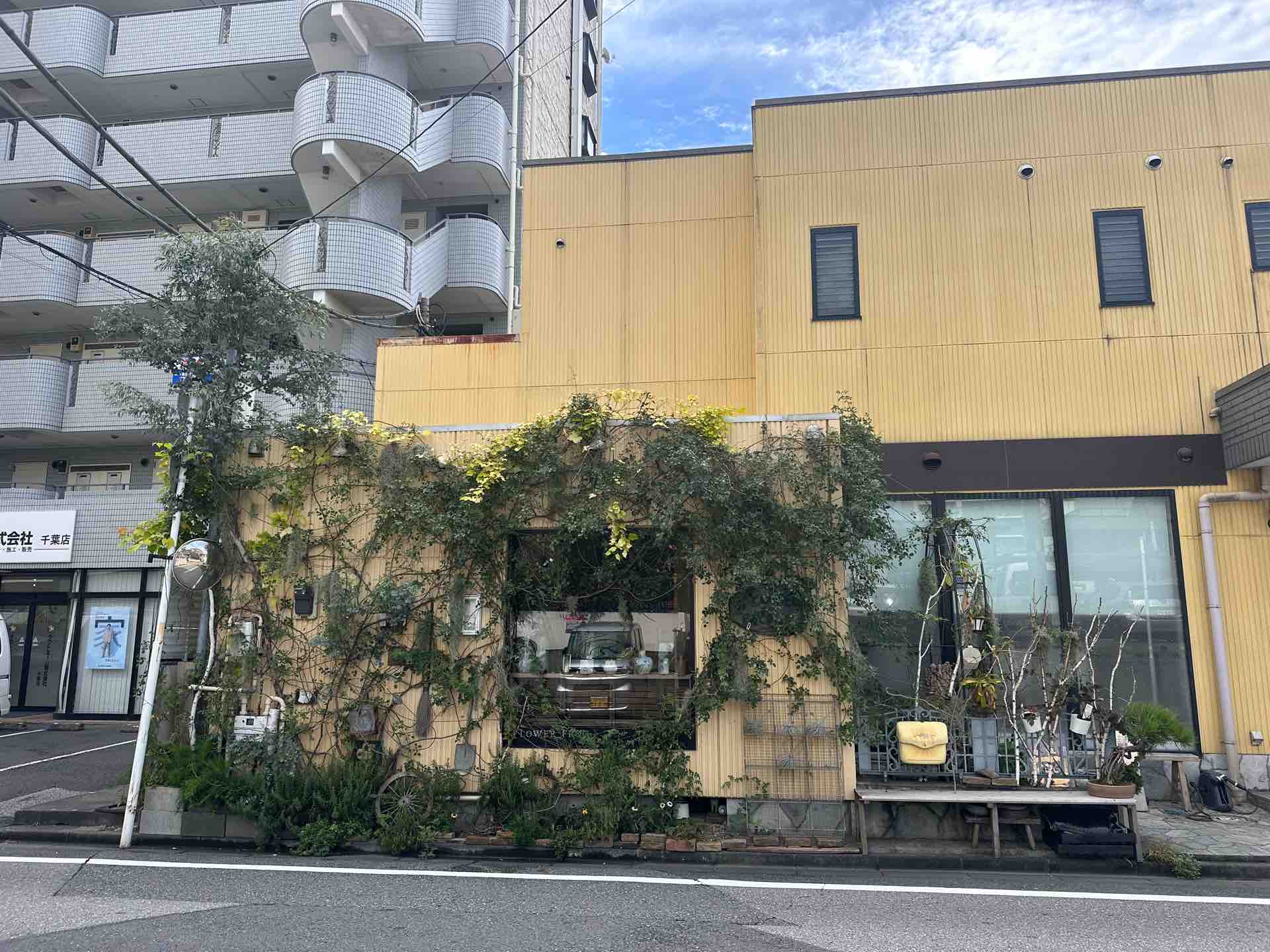 ＦＬＯＷＥＲＦＲＯＧ フラワーフロッグ