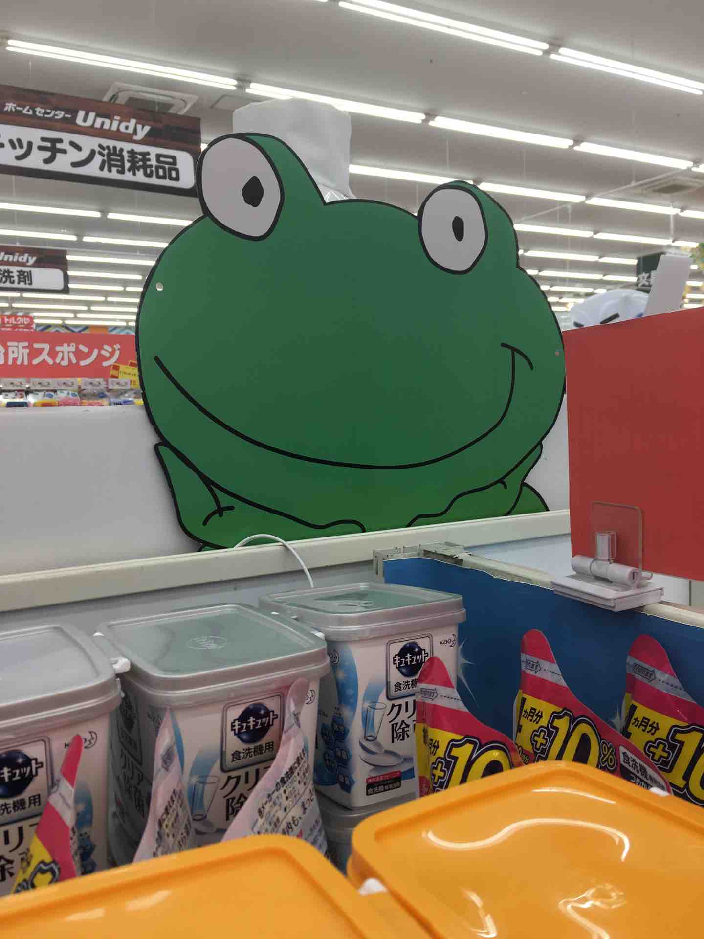 神奈川県平塚市ユニディー Froshのカエル カエル好きの大磯生活