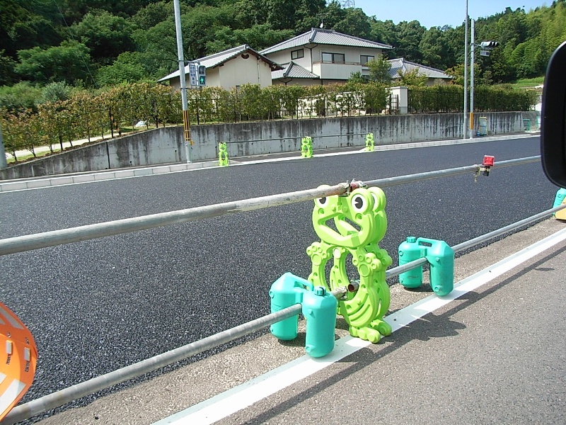 香川県 R32 現場のカエル : カエル好きの大磯生活