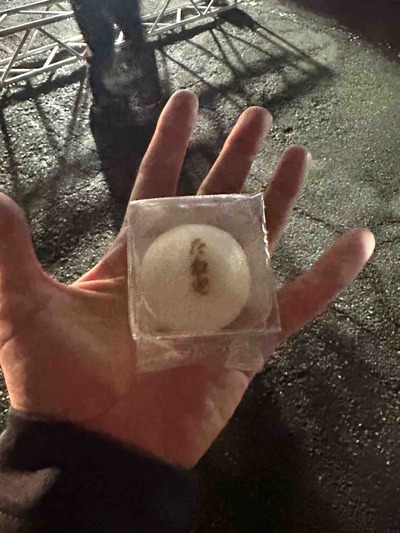 2025.11.1～2 BIWA100 完歩　JA近江ｸﾞﾘｰﾝ～守山みさき公園