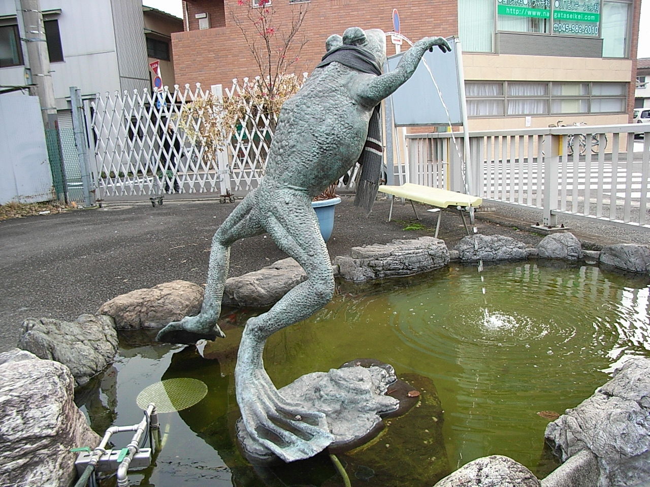 長津田駅の無事カエル 捜索 カエル好きの大磯生活