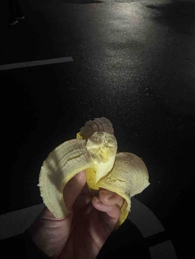 2025.11.1～2 BIWA100 完歩 ﾌｧﾐﾏ近江八幡白王町～JA近江ｸﾞﾘｰﾝ