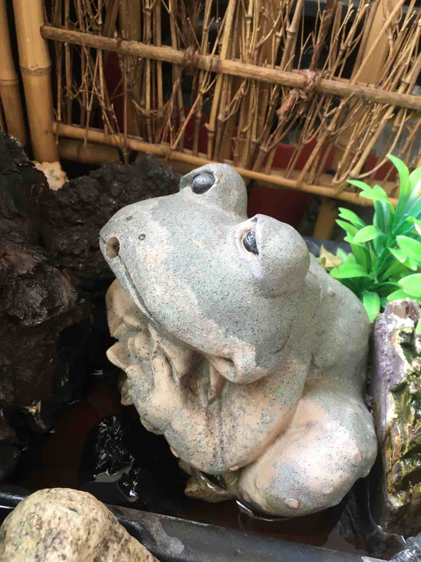 神奈川県 二宮町 魚料理にしけんのカエル カエル好きの大磯生活