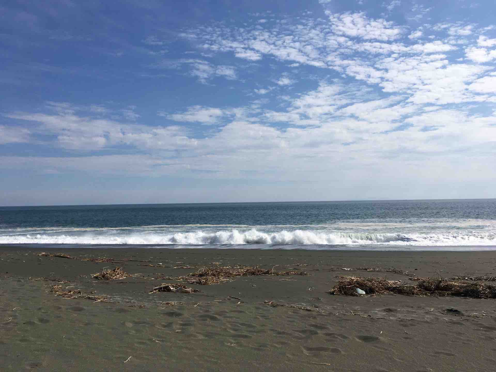 大磯町 こゆるぎの浜 カエル好きの大磯生活