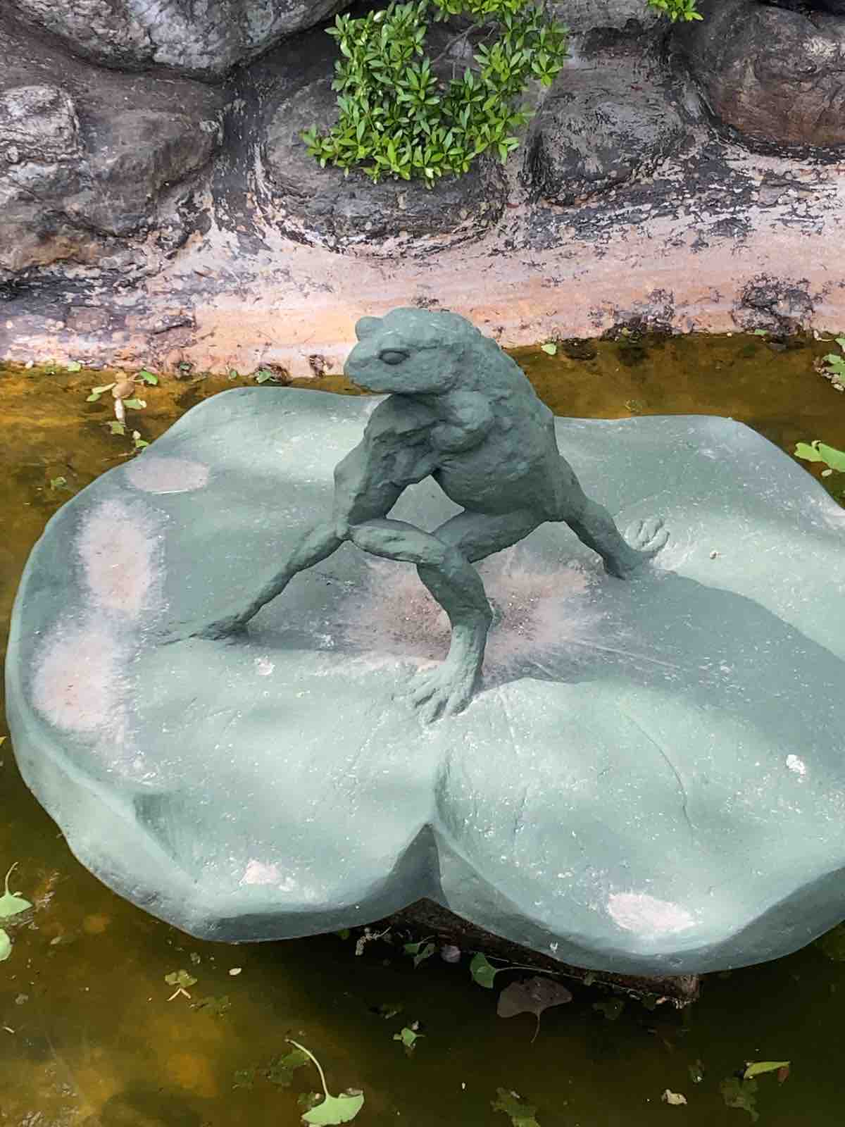東京都竹ノ塚 炎天寺のカエル : カエル好きの大磯生活