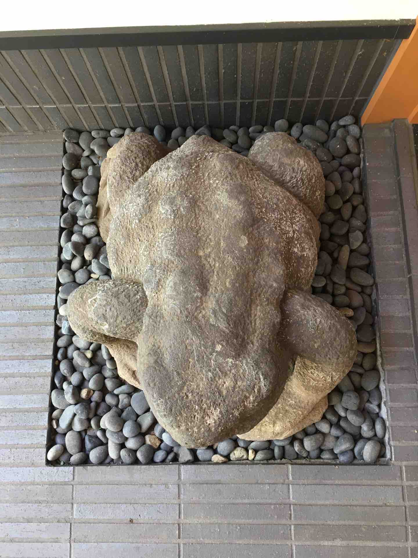 東京都港区芝公園 宝珠院のカエル 暑中お見舞い申し上げます カエル好きの大磯生活