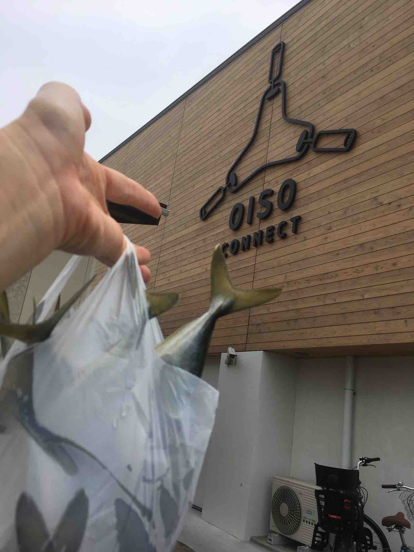 大磯町 oiso connectで鮮魚 わかし カエル好きの大磯生活 大磯町 oiso connectで鮮魚 わかし カエル好きの大磯生活