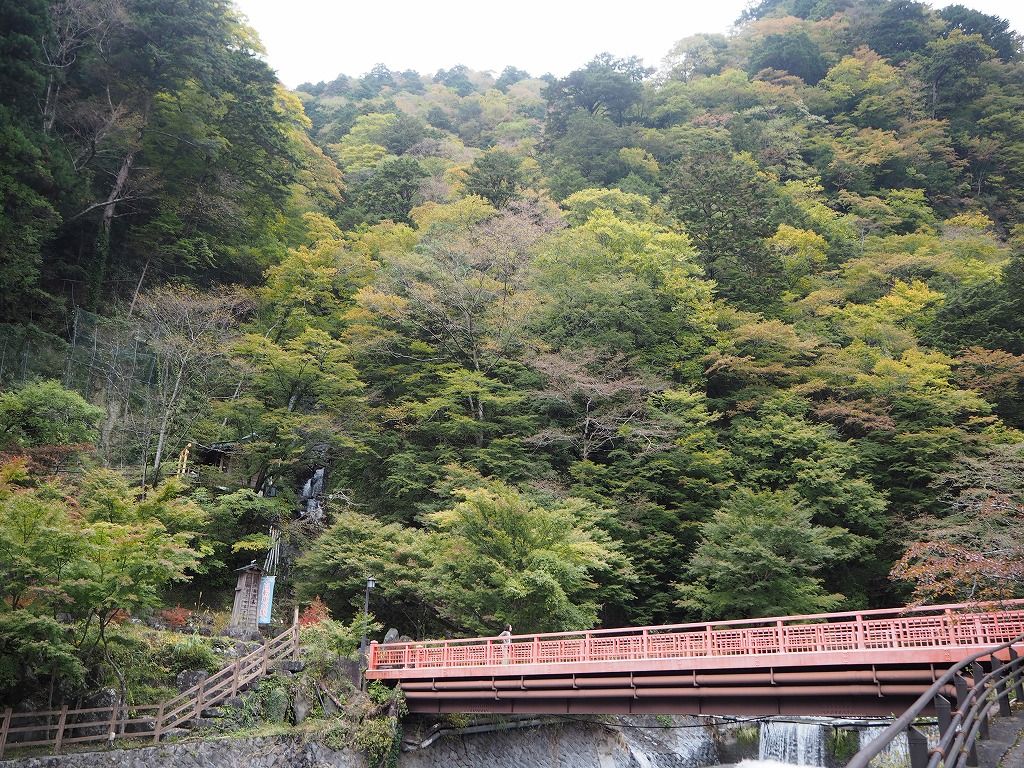 静岡 紅葉がすすむ梅ヶ島温泉 旅人curiosity 静岡 紅葉がすすむ梅ヶ島温泉 旅人curiosity