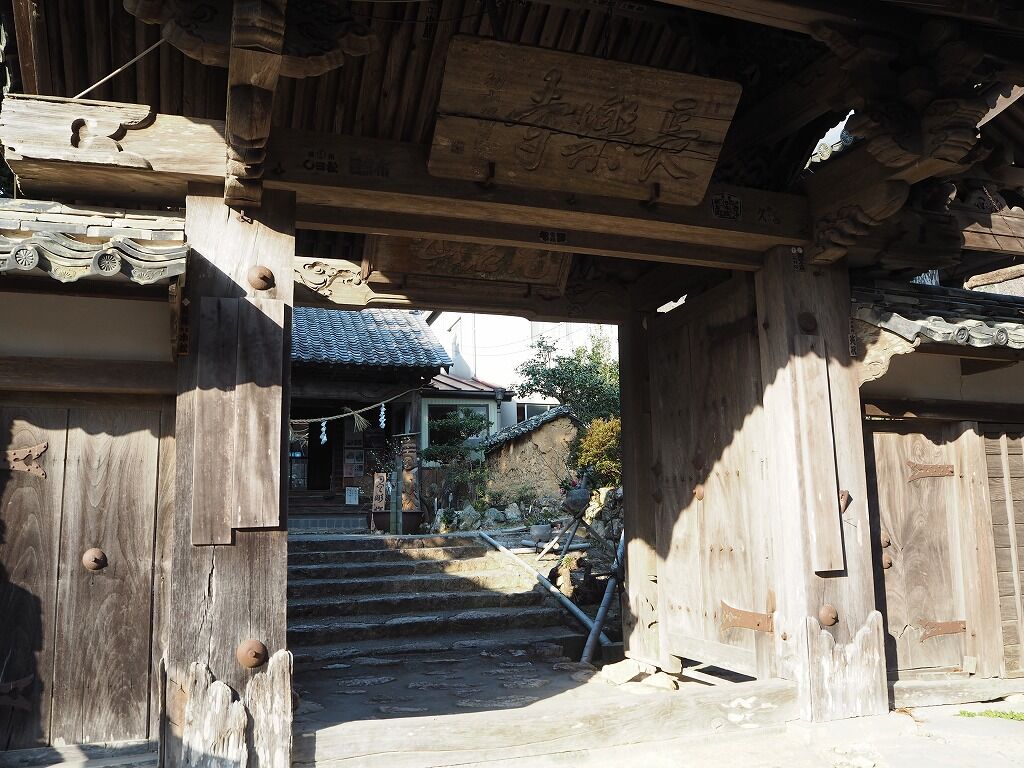 静岡 浜松 長楽寺の河津桜 旅人curiosity