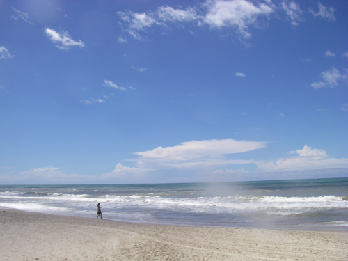 写真1
