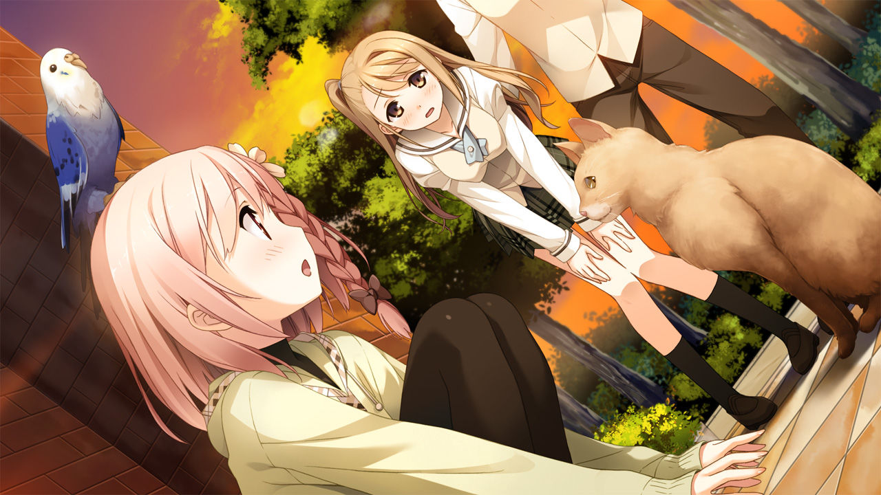 Your diary  cg えろ 