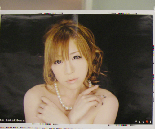 写真2