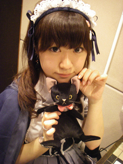 写真11