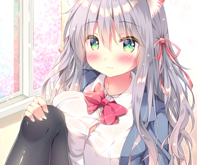 告知画像1