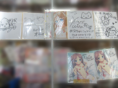 色紙_ショーケース