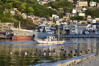 ������