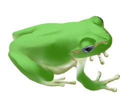 jpg