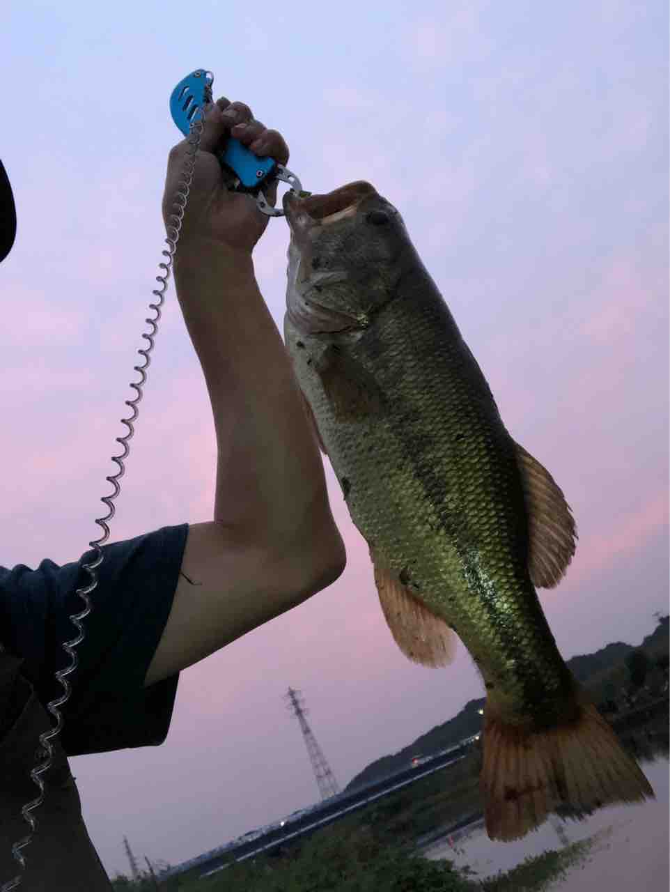 秋のバス釣り ゲテモノ集め作造のblog