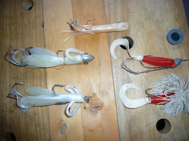 イイダコ テンヤ My Fishing Life
