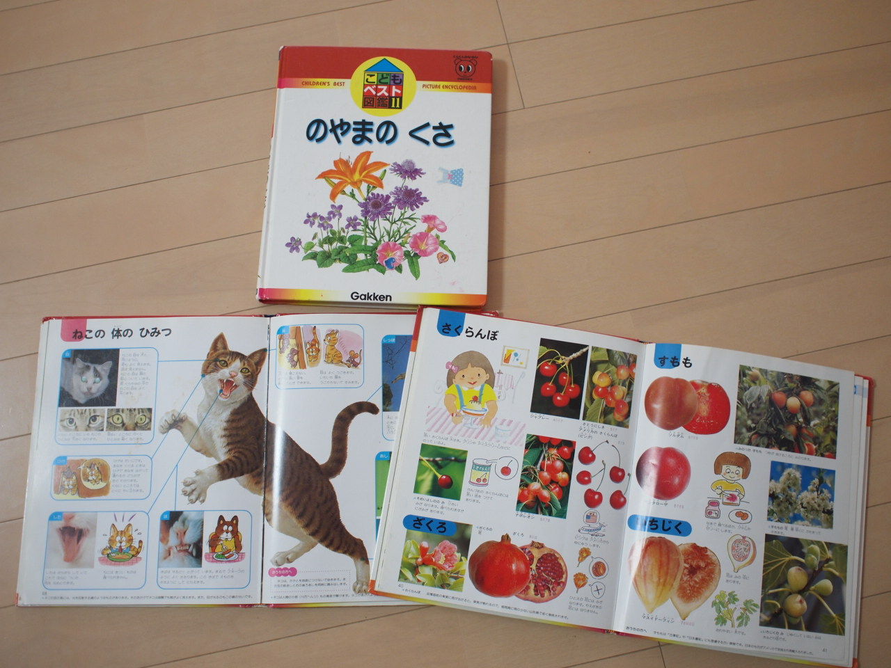幼児から親しむ図鑑 勉強好きの子どもに育てたい 2 菜っ葉ママの素敵なモノ生活