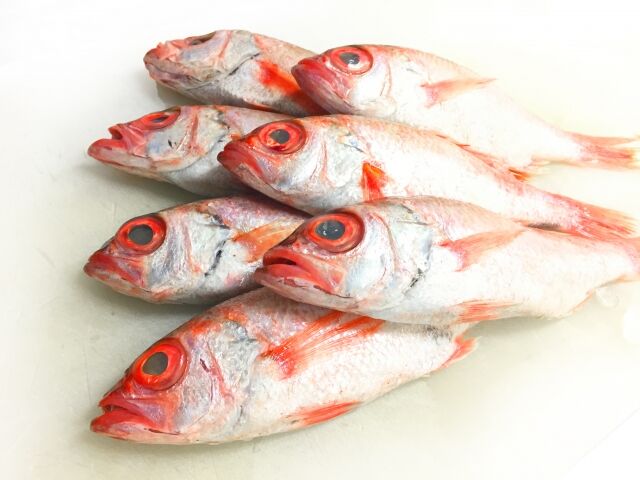 喉黒 北陸といえばこの魚 どの季節でも最高においしい高級魚 のどぐろ 海無し県民うおずみの海の恵みにおおきに