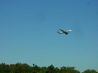 34d0d13d.jpg