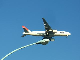 41813a24.jpg