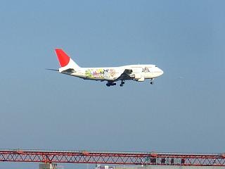 8a266f98.jpg