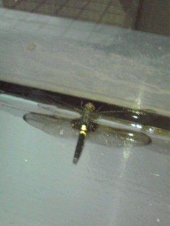 e29737d7.jpg