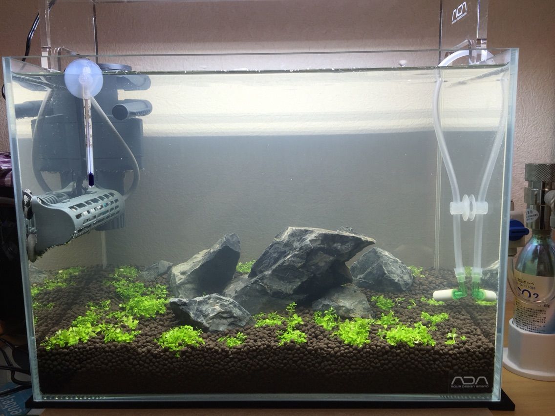 立ち上げから間もなく一週間 19lの世界