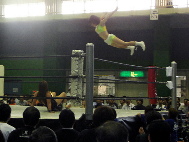 プロレスファンによるいつのまにか大してプロレスファンぽくない日記byカミジョウノボル