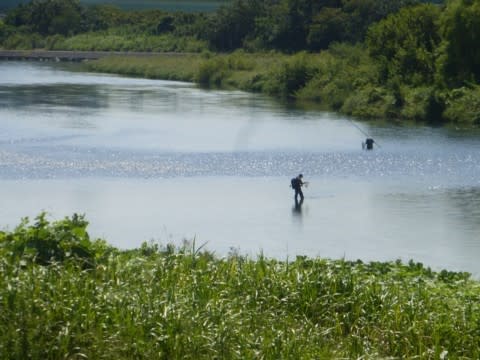 梅雨明けの調布 多摩川に釣り人戻る 江戸前アユ に釣果期待 古座川の民宿やまびこ便り