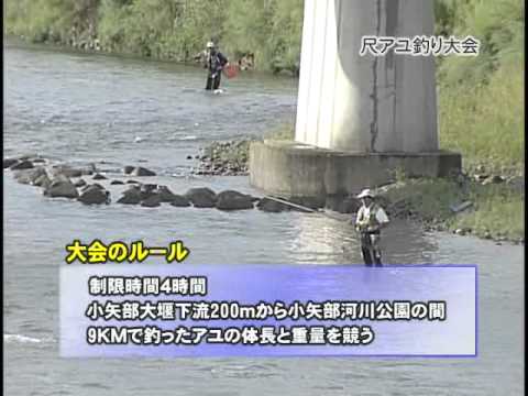 尺アユ狙う 小矢部川で釣り大会 古座川の民宿やまびこ便り