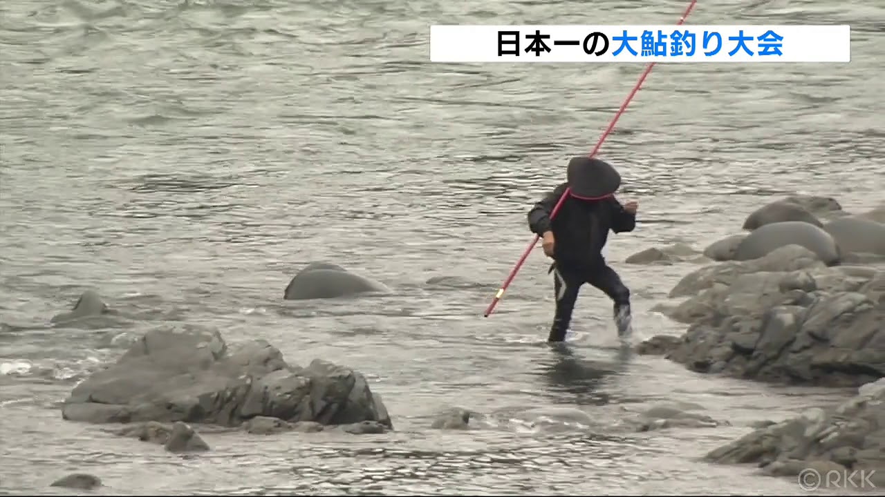 球磨川の大鮎釣り選手権大会 古座川の民宿やまびこ便り 球磨川の大鮎釣り選手権大会 古座川の民宿やまびこ便り