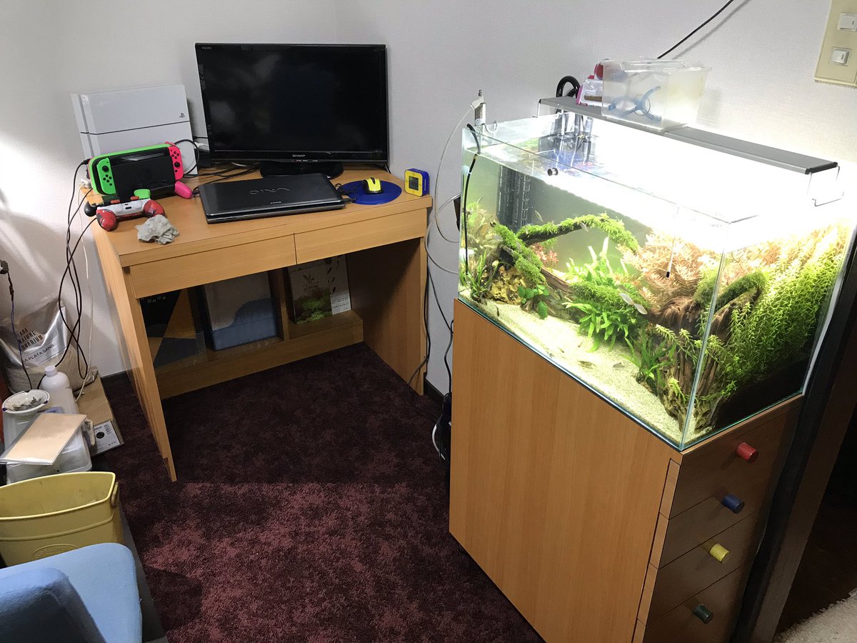 子供部屋おじさん デジタルガジェット速報 子供部屋おじさん デジタルガジェット速報