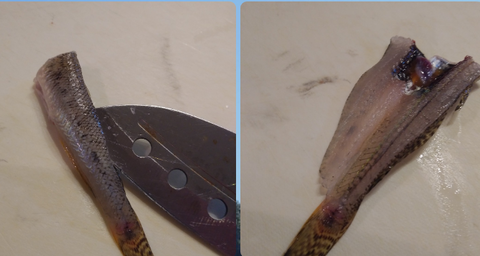 Screenshot_20211103-212305~2