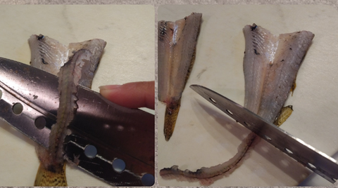 Screenshot_20211103-212305~5