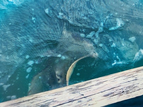 LINE_P20211208_210852186