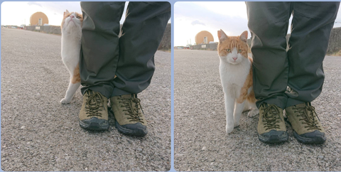 Screenshot_20211110-194433~3