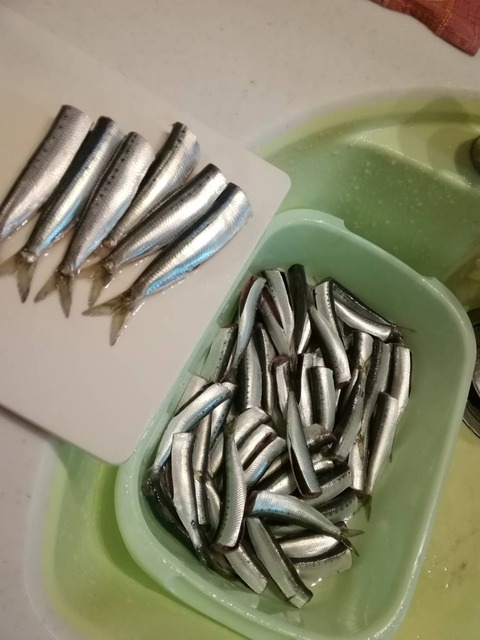 LINE_P20211230_171601716