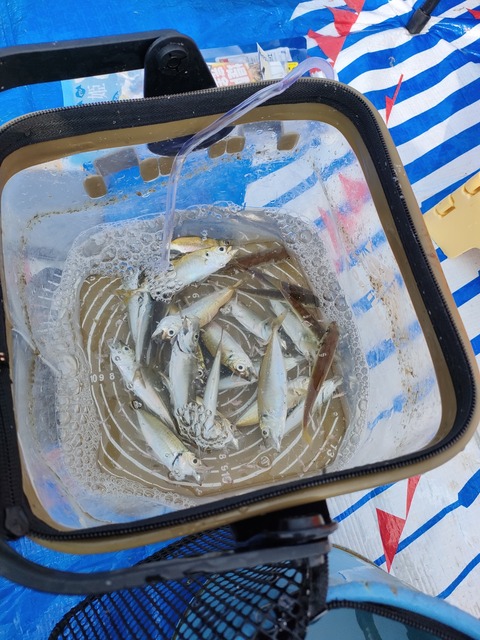 釣り ゴンのすけの釣り日記です