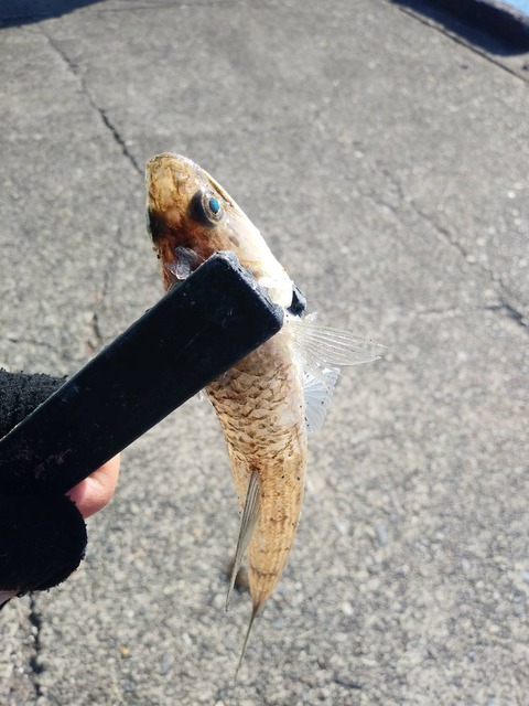 LINE_P20220103_202206480