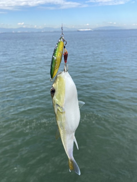 LINE_P20211022_183541778_(1)