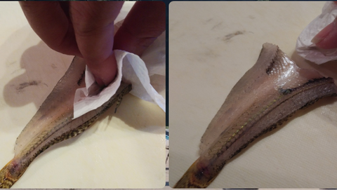 Screenshot_20211103-212305~3