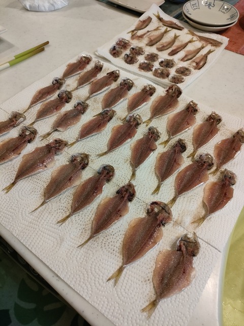 釣り ゴンのすけの釣り日記です