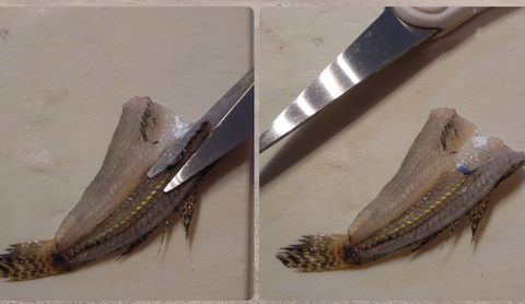 Screenshot_20211103-212305~4