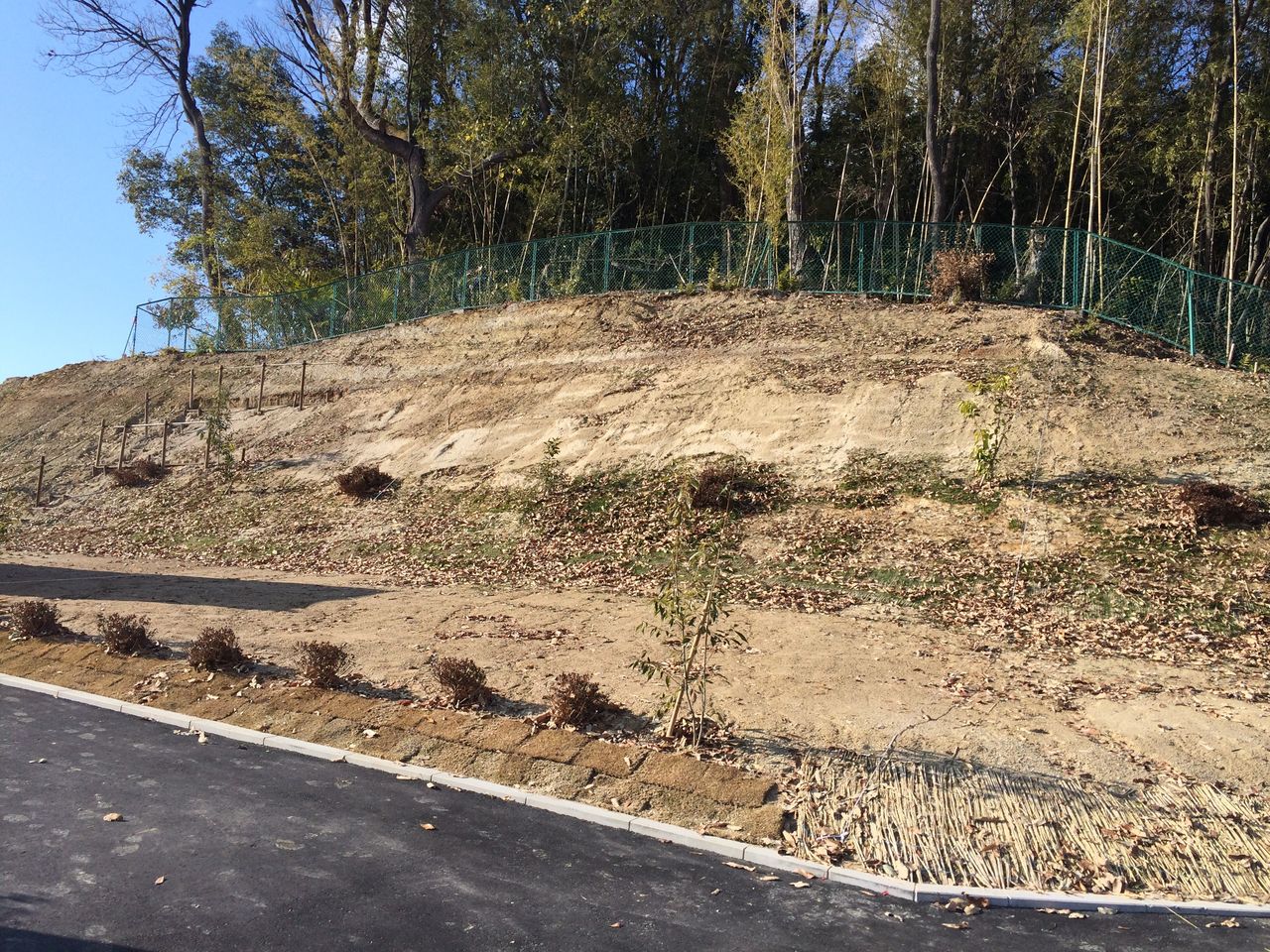 土地 山林 購入から測量開始まで Gg じじい のセルフビルド 小屋を建ててみました さらに展望デッキ 果樹園も作りました