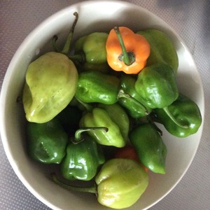 ファイル 2016-10-10 8 45 26