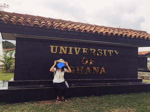 写真 2016-11-03 8 52 04