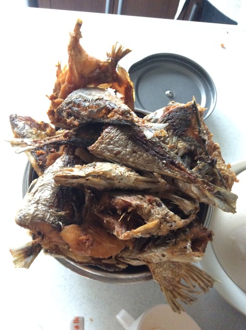 DBB37C40-0841-4AB5-B442-4681148B7E75